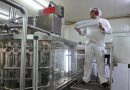 Lechería: un informe de Rabobank advierte sobre una mayor caída en la producción nacional