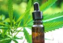 Cannabis medicinal: avanzan dos estudios en el país para tratar la migraña crónica y el autismo