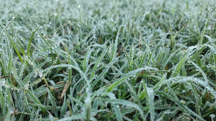 Heladas. Dónde se registraron las temperaturas más bajas de este domingo