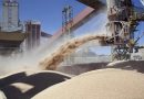 El nuevo «dólar soja» logró que se vendieran más de 1,7 millones de toneladas de granos