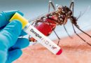 Dengue –  Con 14 mil nuevos casos, se espera que con el frío la cifra descienda