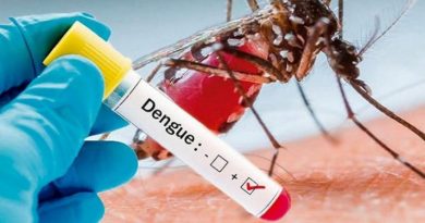 Dengue grave: qué porcentaje es mortal sin la vacuna y el nexo inesperado con “los glaciares de Pfizer”