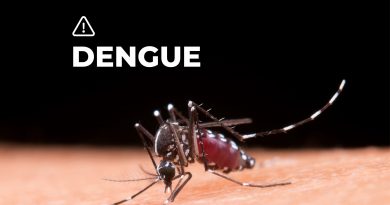 Dengue. La curva comienza a moderarse, pero Córdoba ya superó los 100 mil casos