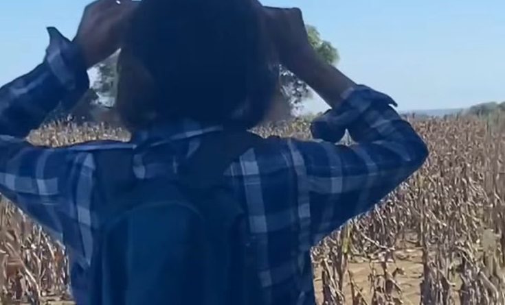 🦅Avistamiento de águila coronada en el Bosque Spirandelli