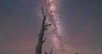 🔊 Este viernes Miramar recibe a los turistas para mirar las estrellas – se viene el campeonato de embarcaciones