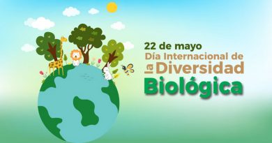 Festejamos el Día de la Biodiversidad con una FERIA DE MIEL