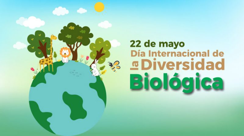 Festejamos el Día de la Biodiversidad con una FERIA DE MIEL