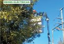 Municipio y Cooperativa continúa con trabajos de poda lineal sobre tendido eléctrico