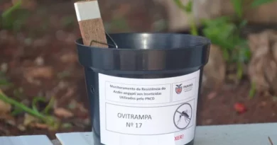 🔊Monitoreo Aédico |  Brinkmann coloca ovitrampas en domicilios para vigilar el Aedes Aegypti