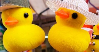 Patitos Kawaii: cuál es el significado del accesorio furor