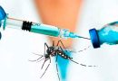 Salud amplía la vacunación contra el dengue a jóvenes de 15 a 17 años