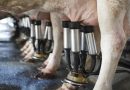 La Caprolecoba busca una mejora en el precio de la leche al productor