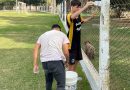 Sentido de pertenencia por San Jorge – Juveniles «pintores» de las instalaciones