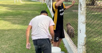 Sentido de pertenencia por San Jorge – Juveniles «pintores» de las instalaciones