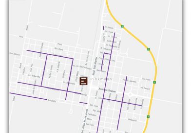 Desde el lunes comienzan los trabajos de poda anual en la linea MT Urbana