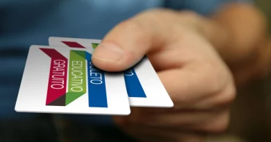 Vacaciones de invierno: el Boleto Educativo Gratuito funcionará hasta el 7 de julio