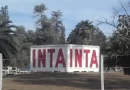 Cómo es el plan de reformulación del Inta que elaboraron sus centros regionales: el impacto en Córdoba