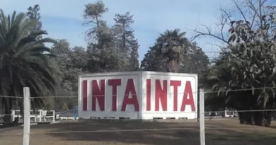 Cómo es el plan de reformulación del Inta que elaboraron sus centros regionales: el impacto en Córdoba