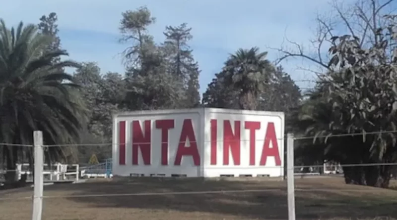 Cómo es el plan de reformulación del Inta que elaboraron sus centros regionales: el impacto en Córdoba