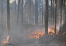 La Provincia declaró el estado de alerta ambiental por riesgo de incendios