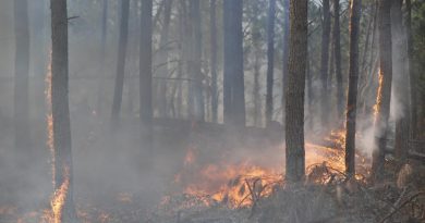 La Provincia declaró el estado de alerta ambiental por riesgo de incendios