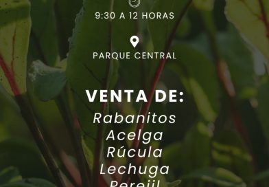 Este miércoles habrá feria de «La Huerta Orgánica» en el Parque