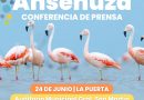 Lanzan el «Festival Ansenuza Winter»