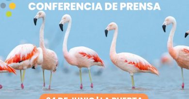 Lanzan el «Festival Ansenuza Winter»