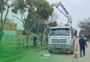 CoopBrinkmann inició Plan de renovación y reordenamiento del alumbrado público