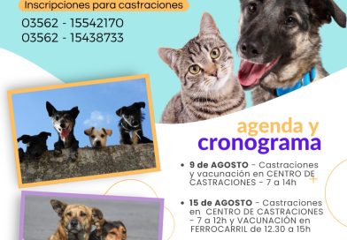 Nueva jornada y cronograma de vacunación antirrábica y castraciones