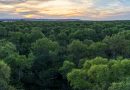 Ambiente: Comenzaron las transferencias del Programa de Pago por Servicios Ambientales a propietarios de bosque nativo