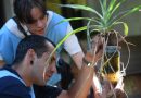 Dengue: La Provincia implementa ovitrampas para el control y prevención de criaderos de mosquitos
