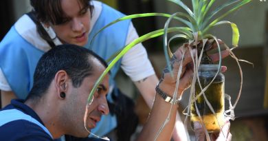 Dengue: La Provincia implementa ovitrampas para el control y prevención de criaderos de mosquitos