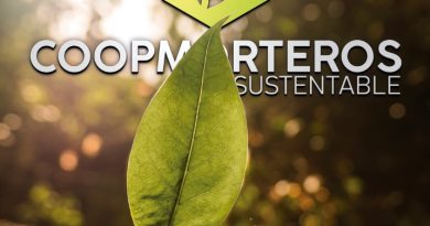 Coopmorteros Refuerza su Compromiso Ambiental: Gestión de la Huella de Carbono, Energías Renovables y Residuos Detallados en el Reporte 2024