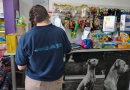 Clausuras por expendio de zooterápicos sin habilitación en el departamento San Justo
