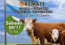 Se viene otro remate de Genética Ganadera en Morteros