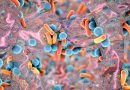 Crean en el país una innovadora plataforma para enfrentar una de las mayores amenazas de salud mundial