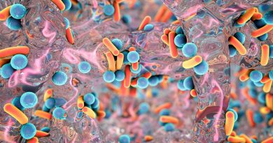 Crean en el país una innovadora plataforma para enfrentar una de las mayores amenazas de salud mundial