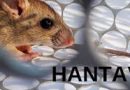 Confirmaron un muerto por hantavirus en Bariloche y dos personas permanecen aisladas