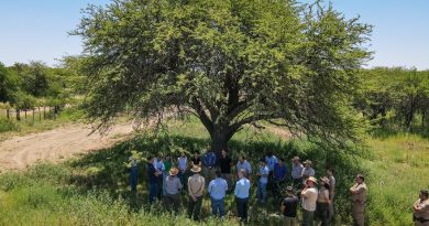 Córdoba, La Pampa y San Luis firmaron un convenio para proteger el Caldén, especie única en el mundo