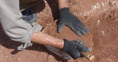 Hallazgo histórico en Córdoba: descubren un resto fósil óseo de gran relevancia