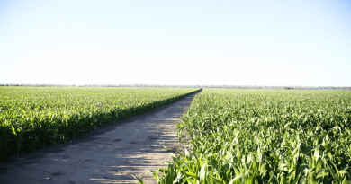 La Provincia impulsa el Seguro Multirriesgo Agrícola