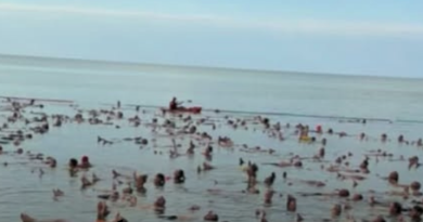 Por poco no se llegó el record, pero más de 1800 personas «haciendo la planchita» en Miramar de Ansenuza