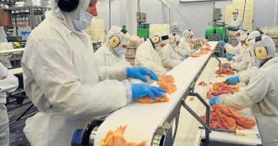 Carne aviar. Argentina reabre las exportaciones avícolas la UE a partir de 1° de marzo