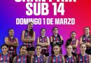 San Jorge recibe este domingo el Gran Prix Sub 14 de vóley